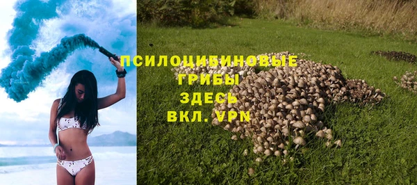 не бодяженный Аркадак