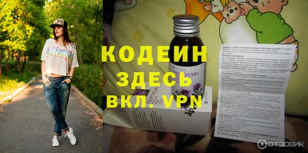 ПСИЛОЦИБИНОВЫЕ ГРИБЫ Арсеньев