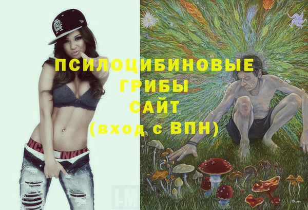 ПСИЛОЦИБИНОВЫЕ ГРИБЫ Арсеньев