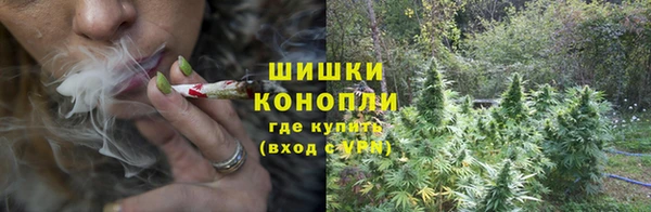 ПСИЛОЦИБИНОВЫЕ ГРИБЫ Арсеньев