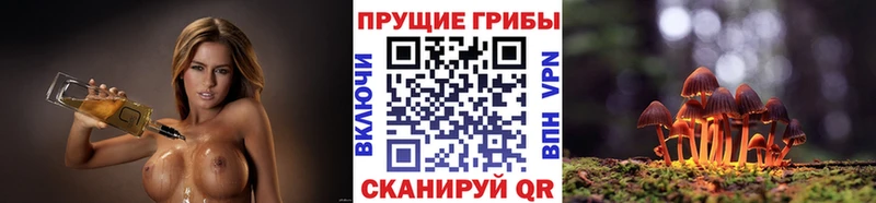Купить где  Мамоново  Псилоцибиновые грибы Psilocybine cubensis 